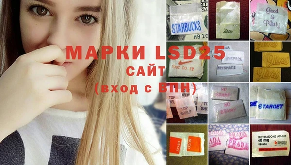 молекула духа Балахна