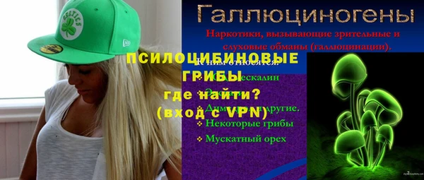 молекула духа Балахна
